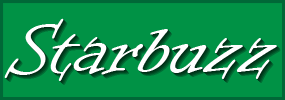 Starbuzz